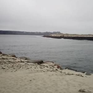 Meet your Posher, Bryan